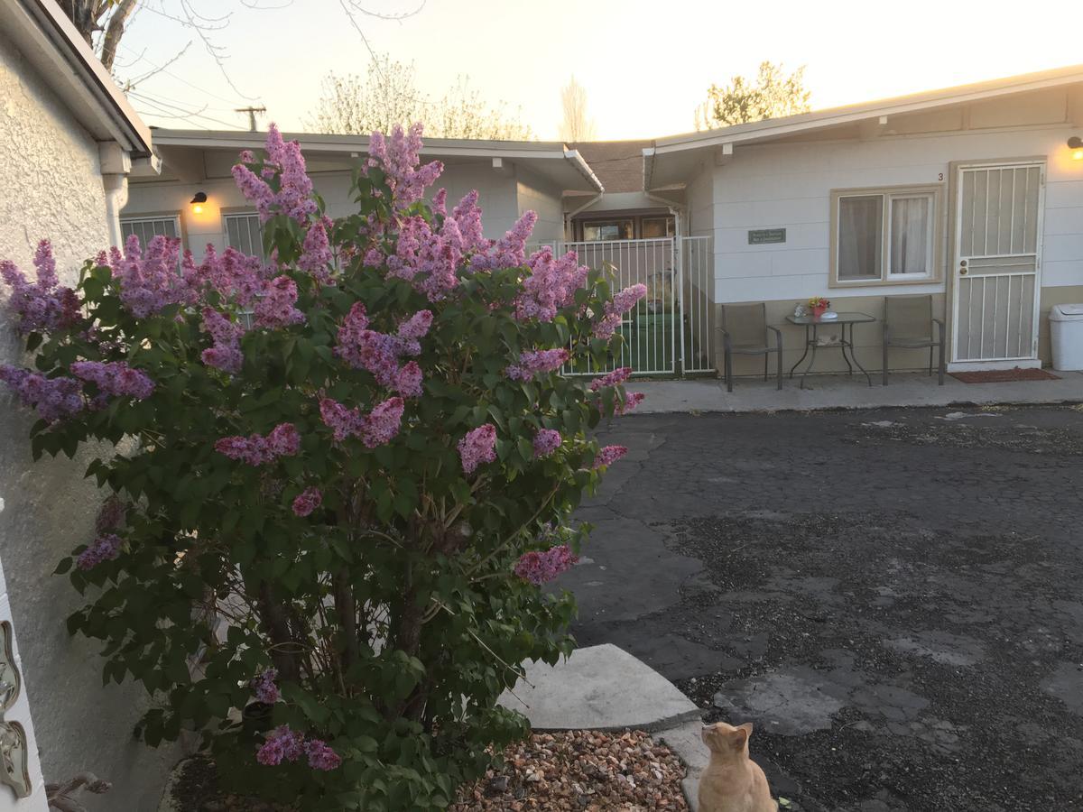 Midway Motel Caliente Exterior foto
